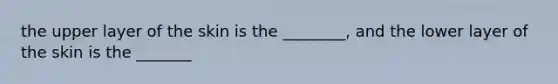 the upper layer of the skin is the ________, and the lower layer of the skin is the _______