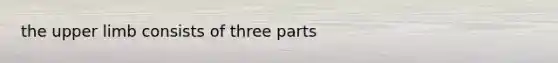 the upper limb consists of three parts