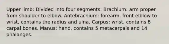 Upper limb: Divided into four segments: Brachium: arm proper from shoulder to elbow. Antebrachium: forearm, front elblow to wrist, contains the radius and ulna. Carpus: wrist, contains 8 carpal bones. Manus: hand, contains 5 metacarpals and 14 phalanges.