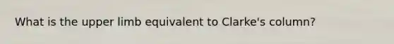 What is the upper limb equivalent to Clarke's column?
