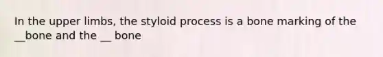 In the upper limbs, the styloid process is a bone marking of the __bone and the __ bone