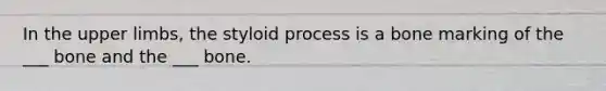 In the upper limbs, the styloid process is a bone marking of the ___ bone and the ___ bone.