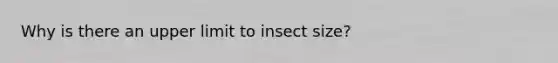 Why is there an upper limit to insect size?