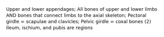 Upper and lower appendages; All bones of upper and lower limbs AND bones that connect limbs to the axial skeleton; Pectoral girdle = scapulae and clavicles; Pelvic girdle = coxal bones (2) Ileum, ischium, and pubis are regions