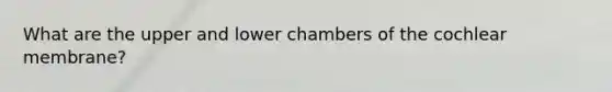 What are the upper and lower chambers of the cochlear membrane?