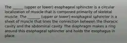 The ______ (upper or lower) esophageal sphincter is a circular localization of muscle that is composed primarily of skeletal muscle. The _______ (upper or lower) esophageal sphincter is a sheet of muscle that lines the connection between the thoracic cavity and the abdominal cavity. The diaphragm makes a ring around this esophageal sphincter and holds the esophagus in place.