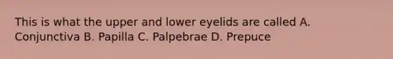 This is what the upper and lower eyelids are called A. Conjunctiva B. Papilla C. Palpebrae D. Prepuce