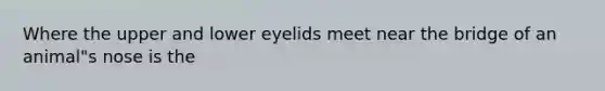 Where the upper and lower eyelids meet near the bridge of an animal"s nose is the