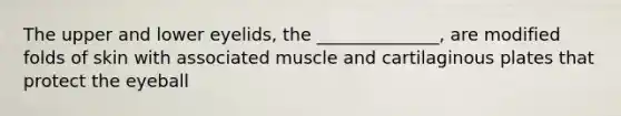 The upper and lower eyelids, the ______________, are modified folds of skin with associated muscle and cartilaginous plates that protect the eyeball