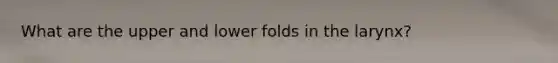 What are the upper and lower folds in the larynx?