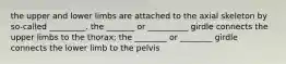 the upper and lower limbs are attached to the axial skeleton by so-called _________. the _______ or __________ girdle connects the upper limbs to the thorax; the ________ or ________ girdle connects the lower limb to the pelvis