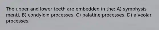 The upper and lower teeth are embedded in the: A) symphysis menti. B) condyloid processes. C) palatine processes. D) alveolar processes.