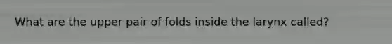 What are the upper pair of folds inside the larynx called?