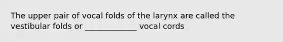 The upper pair of vocal folds of the larynx are called the vestibular folds or _____________ vocal cords