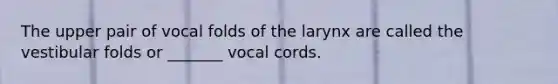 The upper pair of vocal folds of the larynx are called the vestibular folds or _______ vocal cords.