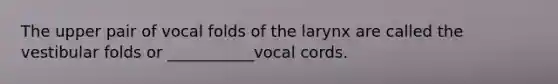 The upper pair of vocal folds of the larynx are called the vestibular folds or ___________vocal cords.