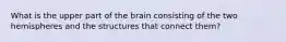 What is the upper part of the brain consisting of the two hemispheres and the structures that connect them?