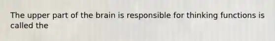 The upper part of the brain is responsible for thinking functions is called the