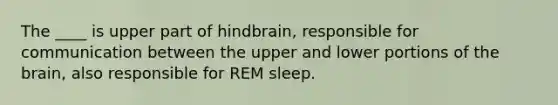 The ____ is upper part of hindbrain, responsible for communication between the upper and lower portions of the brain, also responsible for REM sleep.