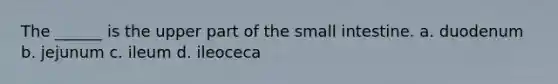 The ______ is the upper part of <a href='https://www.questionai.com/knowledge/kt623fh5xn-the-small-intestine' class='anchor-knowledge'>the small intestine</a>. a. duodenum b. jejunum c. ileum d. ileoceca