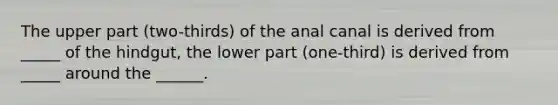 The upper part (two-thirds) of the anal canal is derived from _____ of the hindgut, the lower part (one-third) is derived from _____ around the ______.