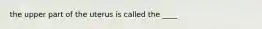 the upper part of the uterus is called the ____