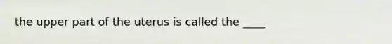 the upper part of the uterus is called the ____