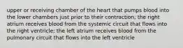 upper or receiving chamber of the heart that pumps blood into the lower chambers just prior to their contraction; the right atrium receives blood from the systemic circuit that flows into the right ventricle; the left atrium receives blood from the pulmonary circuit that flows into the left ventricle