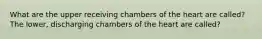 What are the upper receiving chambers of the heart are called? The lower, discharging chambers of the heart are called?