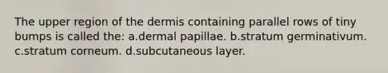 The upper region of the dermis containing parallel rows of tiny bumps is called the: a.dermal papillae. b.stratum germinativum. c.stratum corneum. d.subcutaneous layer.