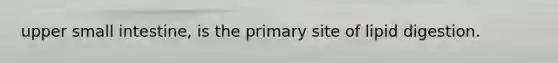 upper small intestine, is the primary site of lipid digestion.