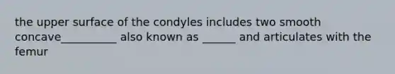 the upper surface of the condyles includes two smooth concave__________ also known as ______ and articulates with the femur