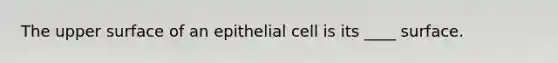 The upper surface of an epithelial cell is its ____ surface.