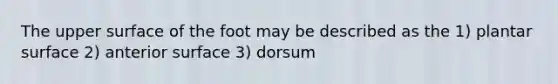 The upper surface of the foot may be described as the 1) plantar surface 2) anterior surface 3) dorsum