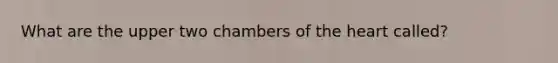 What are the upper two chambers of the heart called?