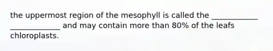 the uppermost region of the mesophyll is called the ____________ _____________ and may contain more than 80% of the leafs chloroplasts.