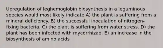 Upregulation of leghemoglobin biosynthesis in a leguminous species would most likely indicate A) the plant is suffering from a mineral deficiency. B) the successful inoculation of nitrogen-fixing bacteria. C) the plant is suffering from water stress. D) the plant has been infected with mycorrhizae. E) an increase in the biosynthesis of amino acids