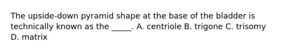 The upside-down pyramid shape at the base of the bladder is technically known as the _____. A. centriole B. trigone C. trisomy D. matrix
