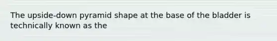 The upside-down pyramid shape at the base of the bladder is technically known as the