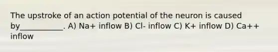 The upstroke of an action potential of the neuron is caused by___________. A) Na+ inflow B) Cl- inflow C) K+ inflow D) Ca++ inflow