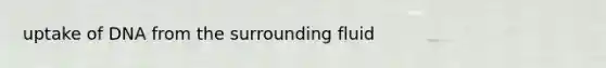 uptake of DNA from the surrounding fluid