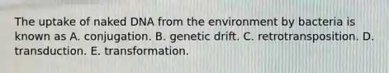 The uptake of naked DNA from the environment by bacteria is known as A. conjugation. B. genetic drift. C. retrotransposition. D. transduction. E. transformation.