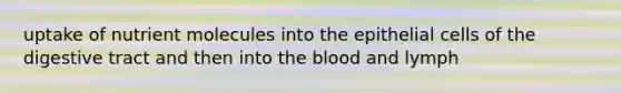 uptake of nutrient molecules into the epithelial cells of the digestive tract and then into the blood and lymph