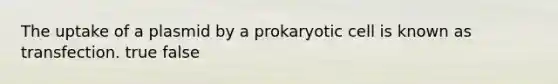 The uptake of a plasmid by a prokaryotic cell is known as transfection. true false