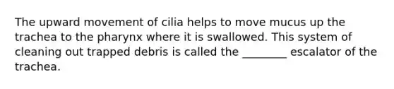 The upward movement of cilia helps to move mucus up the trachea to the pharynx where it is swallowed. This system of cleaning out trapped debris is called the ________ escalator of the trachea.