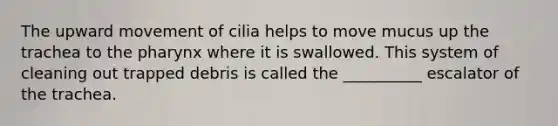 The upward movement of cilia helps to move mucus up the trachea to the pharynx where it is swallowed. This system of cleaning out trapped debris is called the __________ escalator of the trachea.