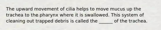 The upward movement of cilia helps to move mucus up the trachea to the pharynx where it is swallowed. This system of cleaning out trapped debris is called the ______ of the trachea.