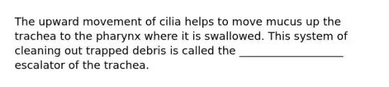 The upward movement of cilia helps to move mucus up the trachea to the pharynx where it is swallowed. This system of cleaning out trapped debris is called the ___________________ escalator of the trachea.