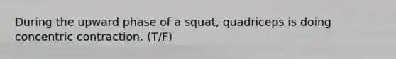 During the upward phase of a squat, quadriceps is doing concentric contraction. (T/F)