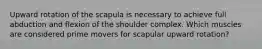 Upward rotation of the scapula is necessary to achieve full abduction and flexion of the shoulder complex. Which muscles are considered prime movers for scapular upward rotation?